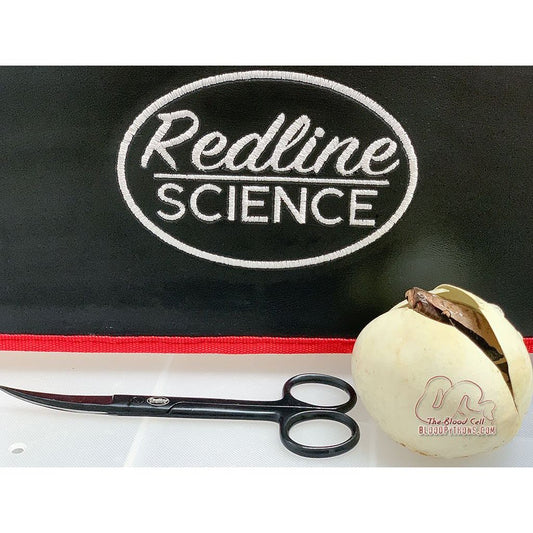 Curved Fine Point Scissors for egg cutting