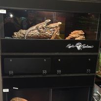 6-Foot Wide Terrestrial PVC Enclosures – Cryptic Creations