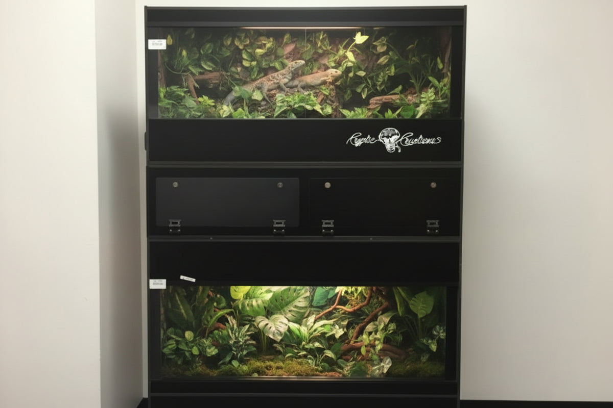 6x2x4 Arboreal (359GAL)