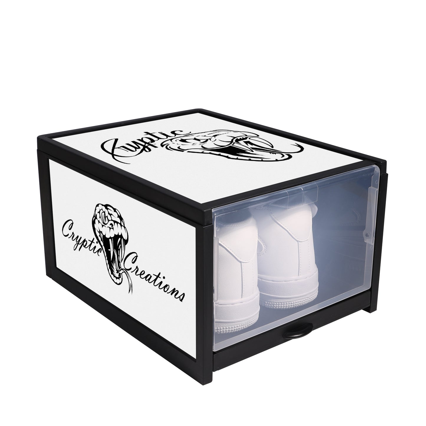 Cryptic 3-Sided Printed Shoe Box