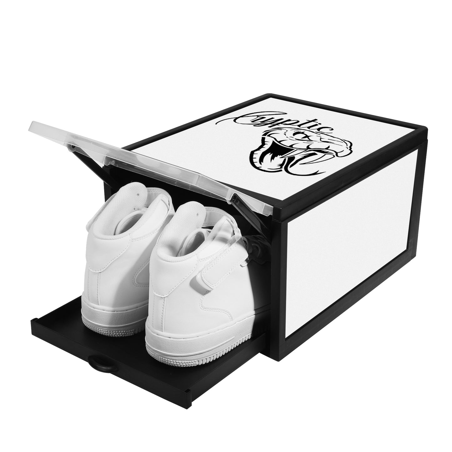 Cryptic 3-Sided Printed Shoe Box