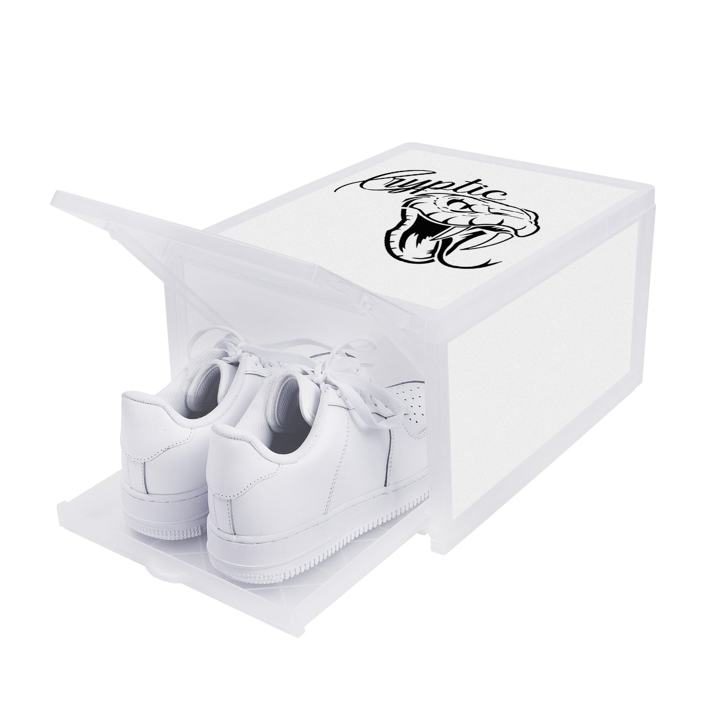 Cryptic 3-Sided Printed Shoe Box