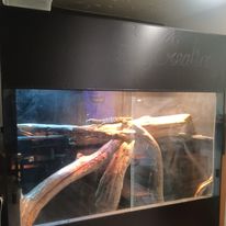 Dinosaur Enclosures