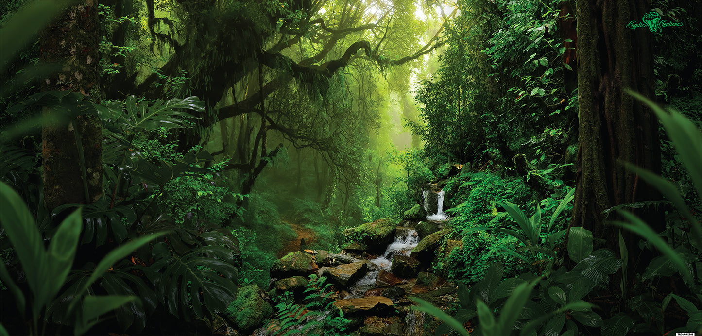Tropical A 6x2x2 background