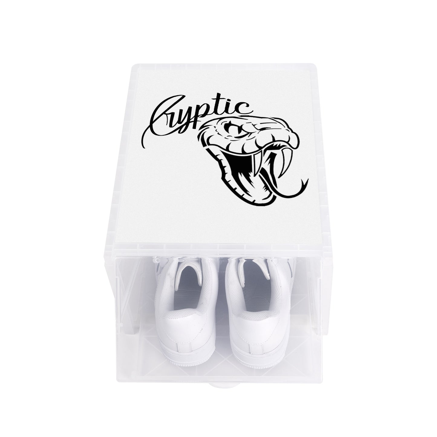 Cryptic 3-Sided Printed Shoe Box