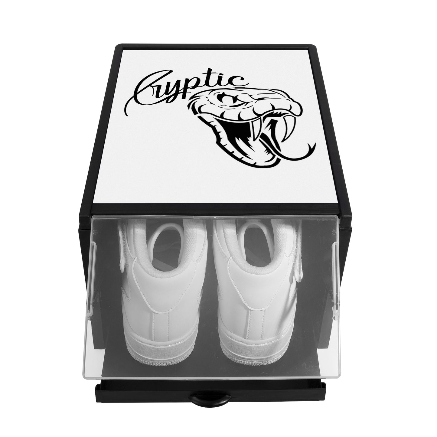 Cryptic 3-Sided Printed Shoe Box